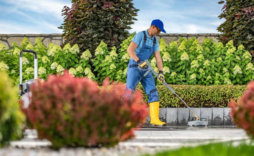 Extensive Landscaping or Renovation Projects