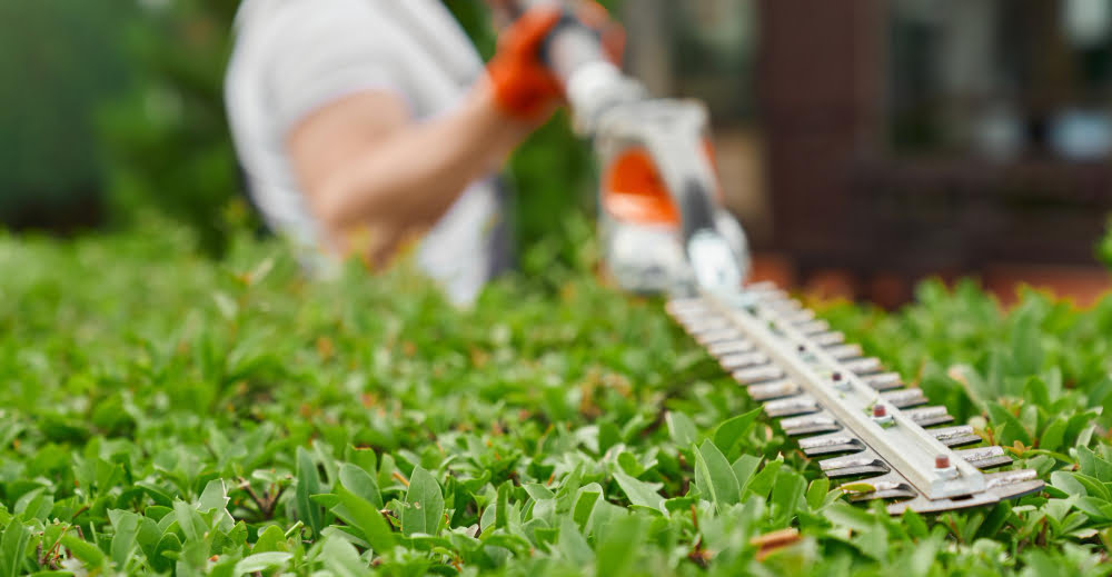 Don't Neglect Your Lawn Edges - Use a Trimmer or Edger for a Clean Look