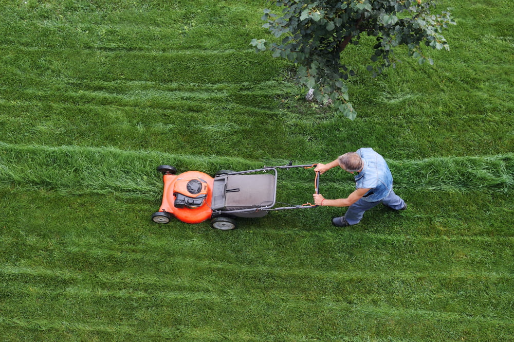 Know the Importance of Maintaining a Healthy and Beautiful Lawn