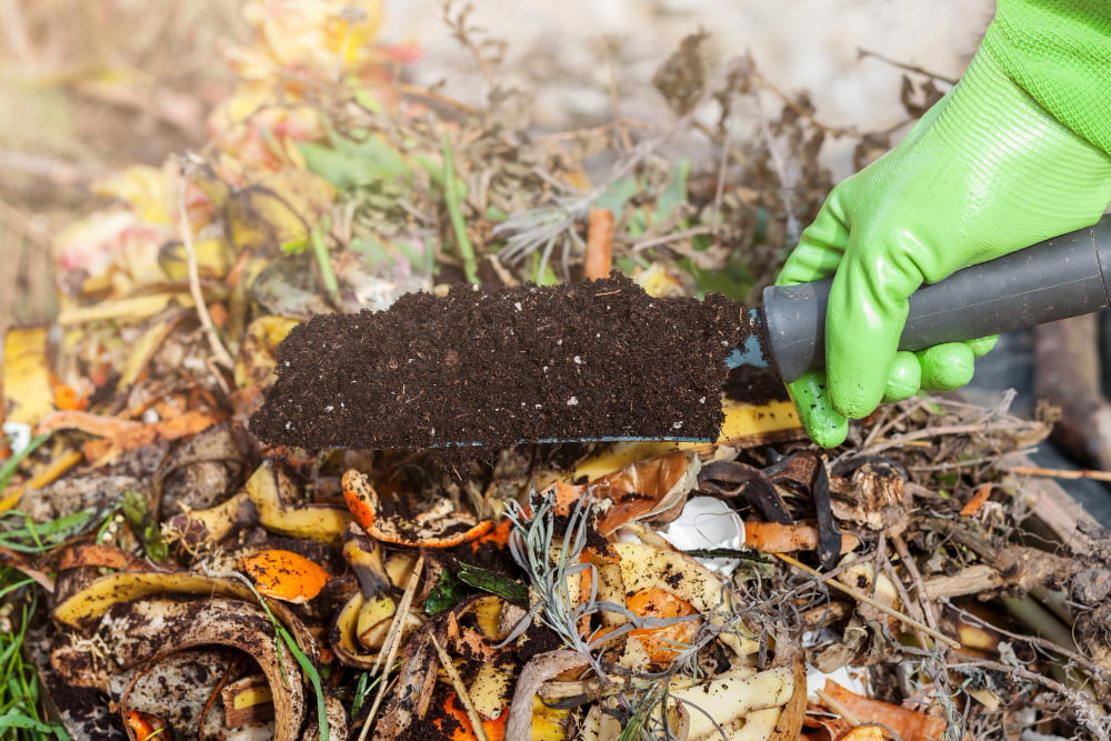 Master the Art of Composting