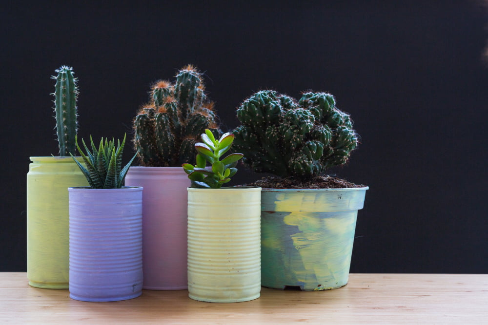 Personalize Your Space with DIY Planters