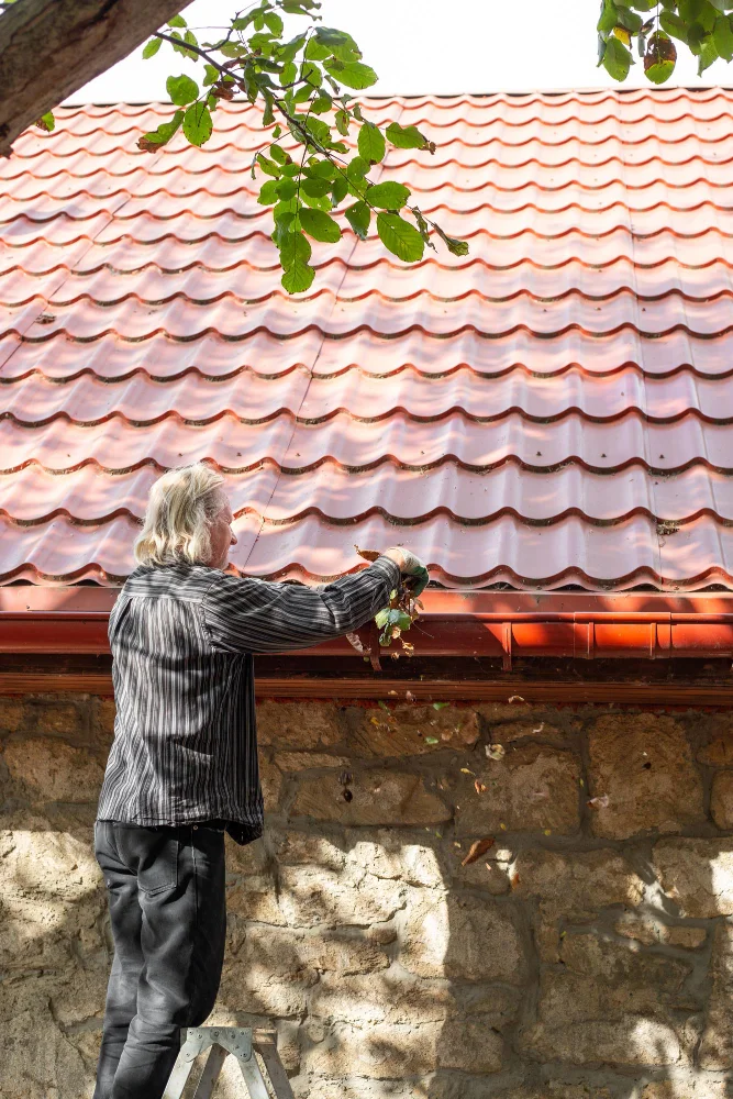 Regular Roof Maintenance