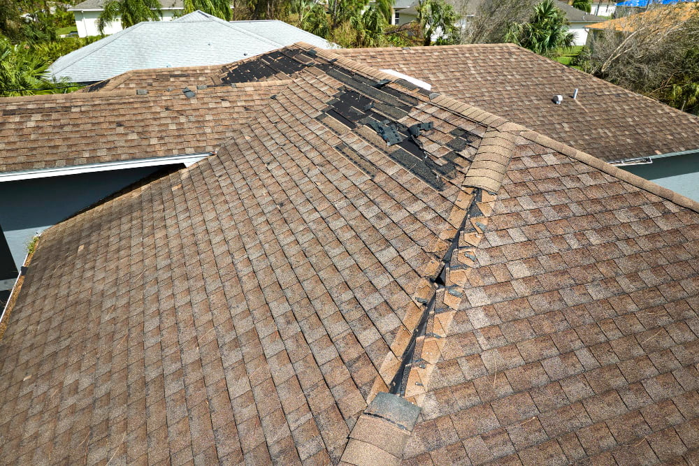Professional Roof Repair Services