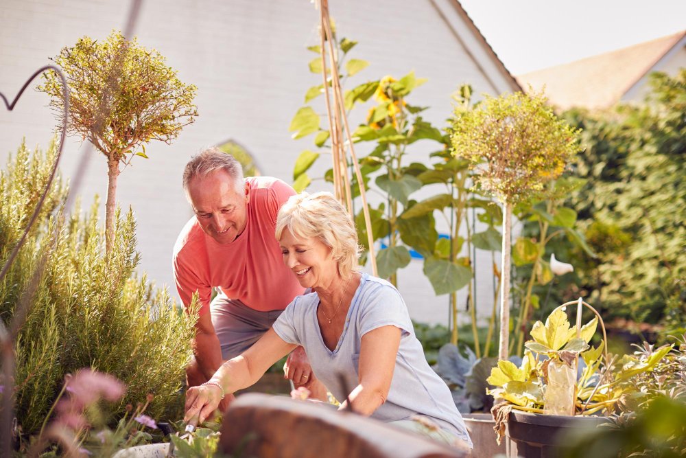 The Importance of Garden Health