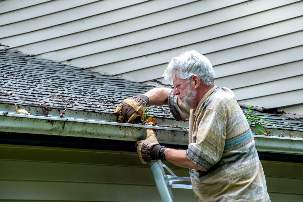 Inspect and Clean Gutters