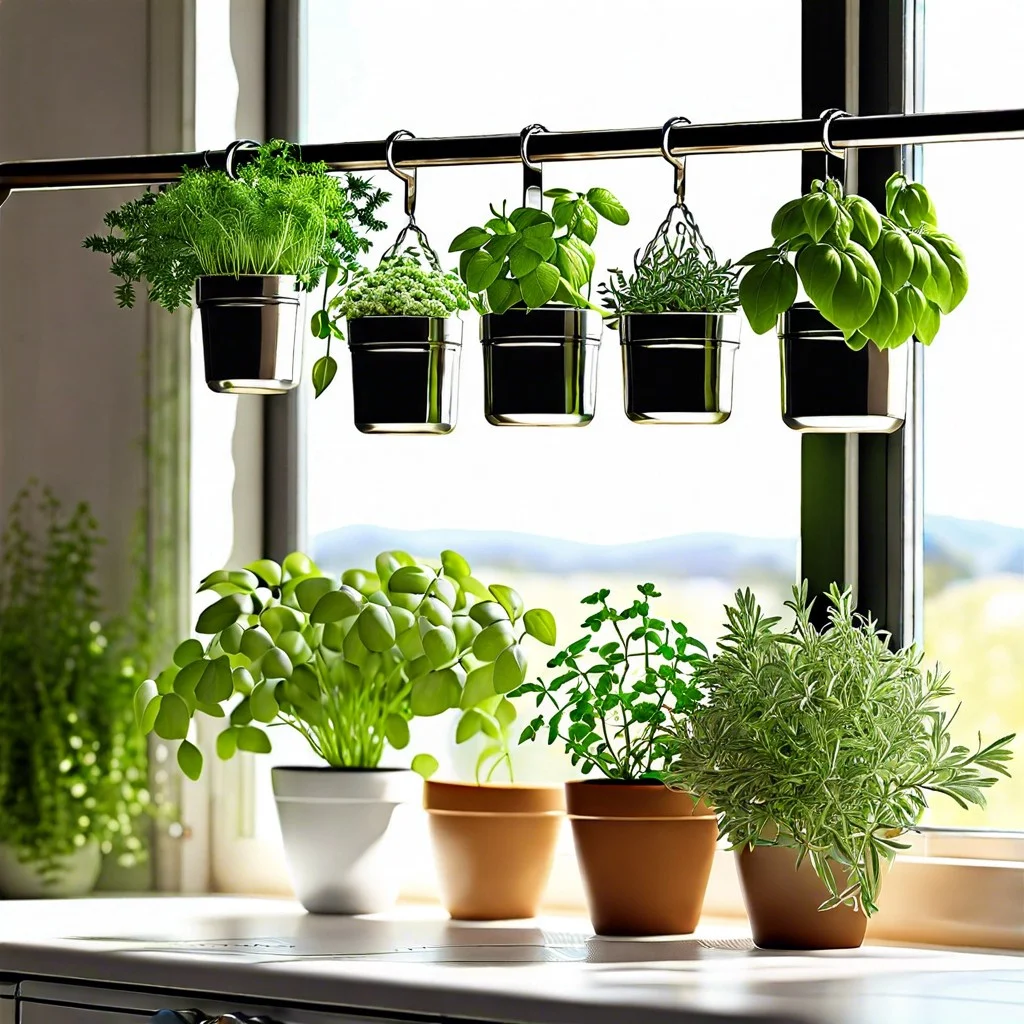 hanging herb garden