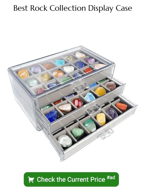 Rock collection display case