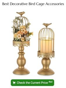 Image showcasing 20 Exquisite Bird Cage Decor Ideas: Creative Tips for Stunning Designs