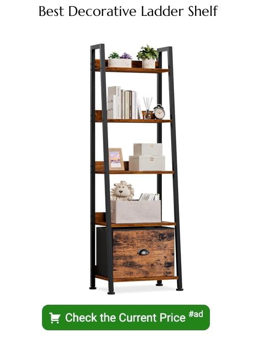 decorative ladder shelf