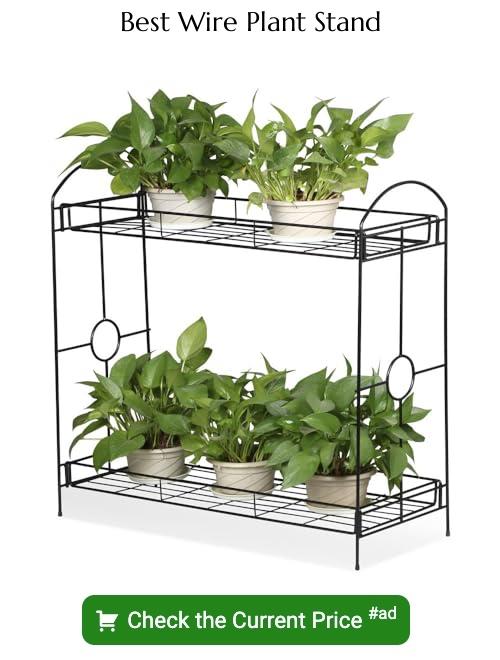 wire plant stand